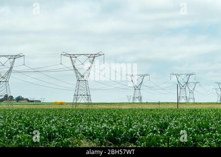 Elettricità ad alta tensione o piloni elettrici e cavi in un ambiente agricolo o in un'area agricola in Sudafrica concetto di energia in Africa Foto Stock