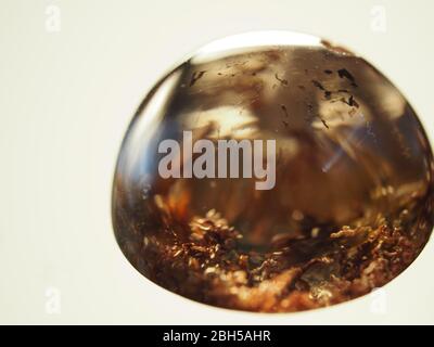 Gemstone lodolite a cupola rotonda con inclusioni arancioni Foto Stock