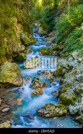 L'acqua dolce del torrente di montagna scorre pura nel verde e nei boschi Foto Stock