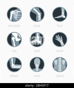 Anatomia icona Riabilitazione spina collo gomito polso tacco anca piede ginocchio spalla Illustrazione Vettoriale