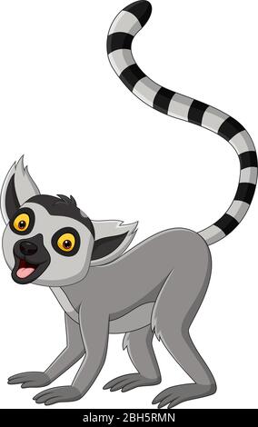 Cartoon cute lemur su sfondo bianco Illustrazione Vettoriale