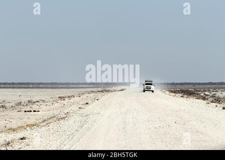 SUV su pista sterrata Paesaggio, Etosha Parco Nazionale, Namibia, Africa Foto Stock