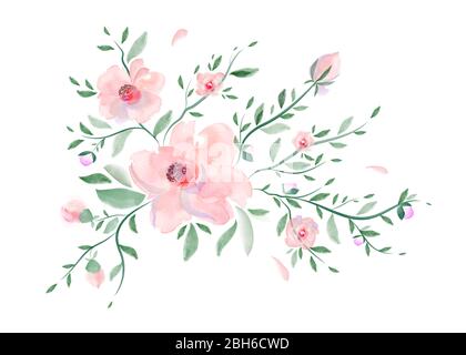 Bel bouquet di peonie rosa isolato su sfondo bianco Foto Stock