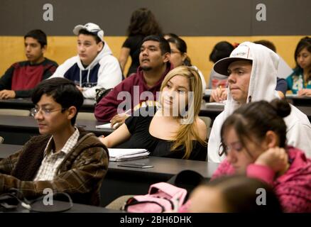 Laredo, Texas USA, 20 febbraio 2009: Studenti freshman che frequentano una classe di storia universitaria alla Texas A&M International University. ©Bob Daemmrich Foto Stock