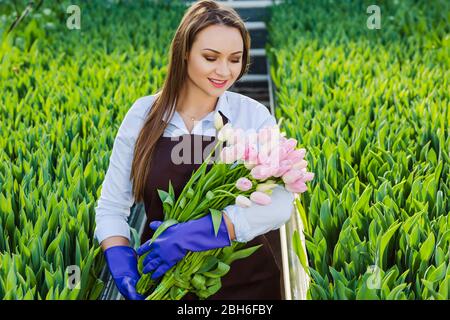 bella giovane donna con un sorriso perfetto, tenendo un grande bouquet di tulipani, guardando i fiori , in piedi in una serra Foto Stock