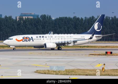 Pechino, Cina – 2 ottobre 2019: SDA Shandong Airlines Boeing 737-800 aereo all'aeroporto internazionale di Pechino (PEK) in Cina. Foto Stock