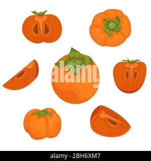 Il set di 7 persimmons maturi. Persimmon intero e pezzi. Illustrazione vettoriale di frutti. Illustrazione Vettoriale