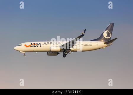 Shanghai, Cina – 28 settembre 2019: SDA Shandong Airlines Boeing 737-800 aereo all'aeroporto Shanghai Hongqiao (SHA) in Cina. Foto Stock