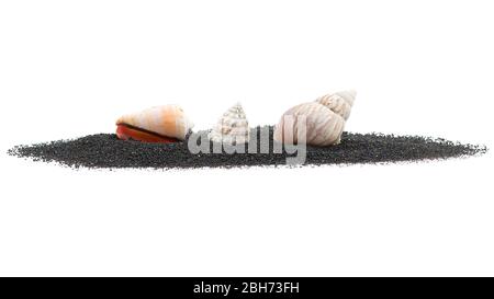Sabbia vulcanica dell'oceano con conchiglie isolate su sfondo bianco Foto Stock