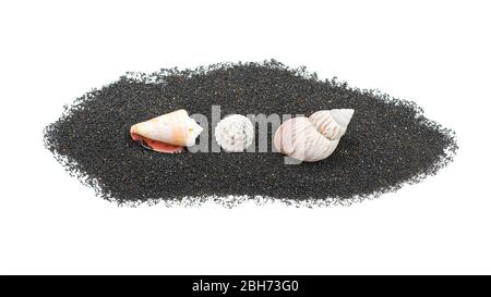 Sabbia vulcanica dell'oceano con conchiglie isolate su sfondo bianco Foto Stock