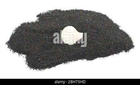Sabbia vulcanica dell'oceano con conchiglie isolate su sfondo bianco Foto Stock