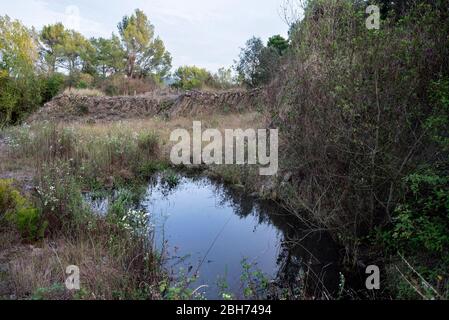 Volcà de Can Guilana, (columnes basàltiques en una disjunció hexque perfeta), Sant Julià de Ramis/Sarrià de Ter, Gironès, Catalunya Foto Stock