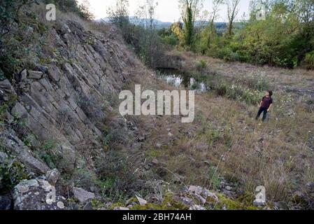 Volcà de Can Guilana, (columnes basàltiques en una disjunció hexque perfeta), Sant Julià de Ramis/Sarrià de Ter, Gironès, Catalunya Foto Stock