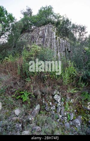 Volcà de Can Guilana, (columnes basàltiques en una disjunció hexque perfeta), Sant Julià de Ramis/Sarrià de Ter, Gironès, Catalunya Foto Stock