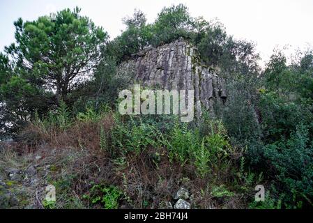 Volcà de Can Guilana, (columnes basàltiques en una disjunció hexque perfeta), Sant Julià de Ramis/Sarrià de Ter, Gironès, Catalunya Foto Stock