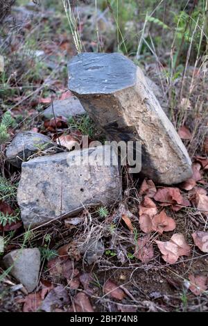 Volcà de Can Guilana, (columnes basàltiques en una disjunció hexque perfeta), Sant Julià de Ramis/Sarrià de Ter, Gironès, Catalunya Foto Stock