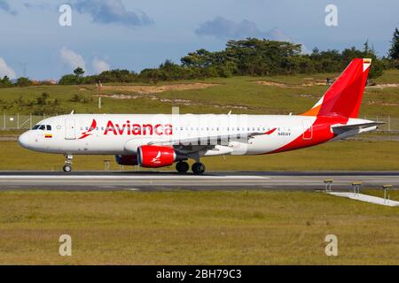 Medellin, Colombia – 26 gennaio 2019: Avianca Airbus A320 aeroplano all'aeroporto Medellin (MDE) in Colombia. Airbus è un produttore europeo di aeromobili Foto Stock