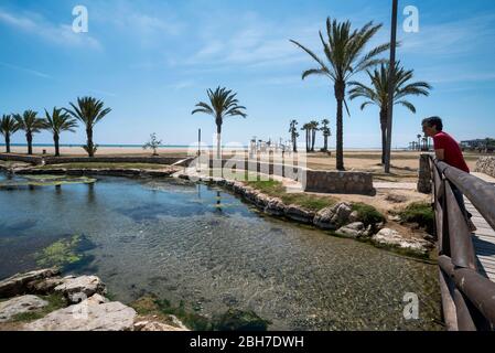 El Riuet de la Platja de la Coma-ruga, El Vendrell, Baix Penedès, Tarragona, Catalunya Foto Stock