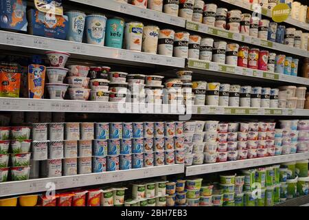 Dubai UAE Dicembre 2019 Varietà di yogurt in scaffale nel negozio. Greco, semplice, aromatizzato, yogurt alla frutta. Vista interna di un enorme frigorifero con vari prodotti alimentari di marca Foto Stock