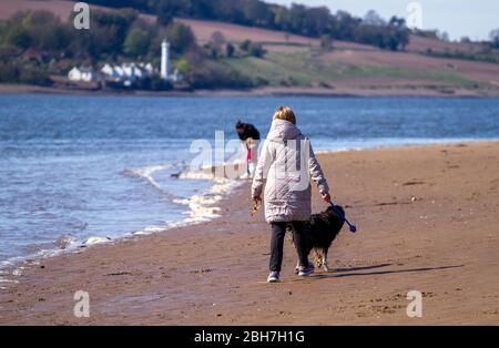 Dundee, Tayside, Scozia, Regno Unito. 24 Aprile 2020. UK Weather: Caldo sole mattina a Dundee anche se un po 'più fresco sulla costa con la temperatura massima 15°C. I proprietari di cani che esercitano i loro cani lungo la spiaggia di Broughy Ferry durante le restrizioni di blocco di Coronavirus. Credit: Dundee Photographics/Alamy Live News Foto Stock