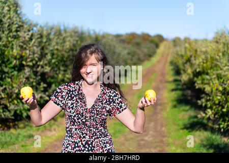 Apple frutteto alberi vicolo e ragazza felice giovane donna che tiene raccolta di frutta verde giallo in giardino in autunno caduta campagna agricola in Virginia Foto Stock