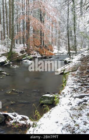 Valle Doubrava vicino Chotebor e Bilek. Altopiani bohemien-moravi (Ceskomoravska Vysocina), Repubblica Ceca Foto Stock