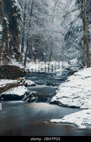 Valle Doubrava vicino Chotebor e Bilek. Altopiani bohemien-moravi (Ceskomoravska Vysocina), Repubblica Ceca Foto Stock