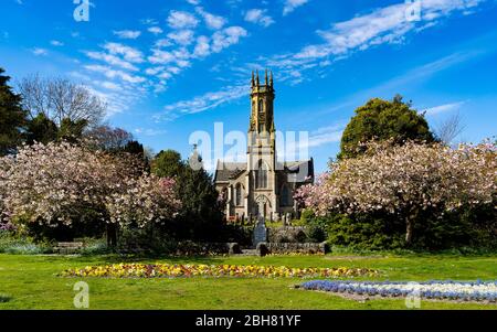 Rhu, Scozia, Regno Unito. 24 aprile 2020. Alberi rosa ciliegia fiore incornicia la parrocchia di Rhu e Shandon Chiesa nel villaggio di Rhu in Argyll & Bute. Le temperature hanno raggiunto i 20°C con il sole costante nella zona. Iain Masterton/Alamy Live News Foto Stock