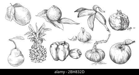 Set di disegno manuale di frutta, verdura. Illustrazione dello schizzo vettoriale in colore nero isolata su sfondo bianco. Design decorazione casa. Icone vintage Illustrazione Vettoriale