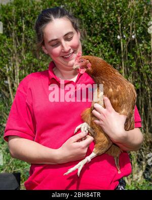 Moodiesburn, Regno Unito. 24 Apr 2020.. Nella foto: Eilidh con Nando il pollo. Eilidh da Stoneyetts, Moddiesburn mostra fuori le sue galline batteria salvate chiamato Noodle; Nando, Lulu & Chickee, che quasi certamente avrebbe incontrato il loro creatore che è servito su un piatto di someones, tuttavia Eilidh ha preso queste galline dentro e ora stanno godendo il loro nuovo contratto di vita come animali domestici della famiglia. Credit: Colin Fisher/Alamy Live News Foto Stock