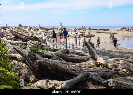 Legname litri Ruby Beach a Forks, Olympic National Park, Washington, Stati Uniti Foto Stock