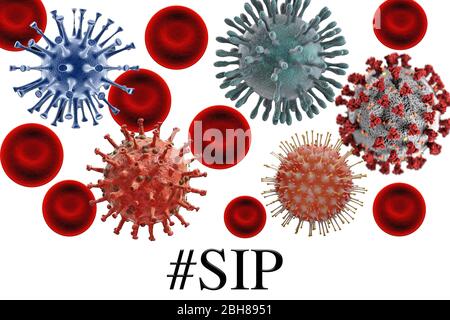Virus su sfondo bianco con globuli rossi COVID-19 e altri virus con testo SIP, noto anche come shelter Foto Stock