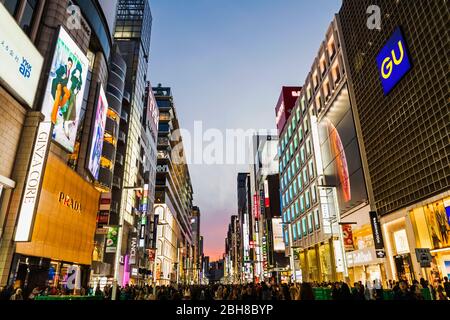 Giappone, Honshu, Tokyo, Ginza Chuo Dori Street, luci notturne Foto Stock