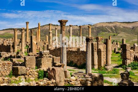 Argelia, Djemila City, rovine romane di Djemila City, UNESCO, W.H. , Città alta Foto Stock