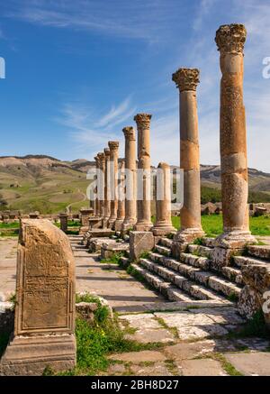 Argelia, Djemila City, rovine romane di Djemila City, UNESCO, W.H. Il cappuccio Foto Stock