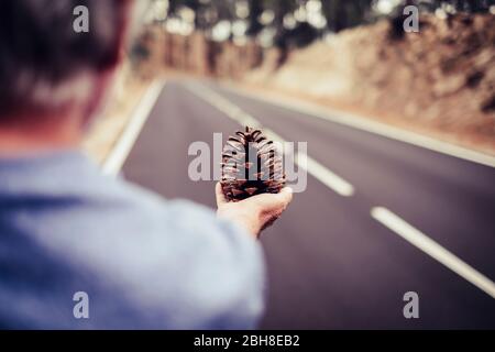 stagione autunnale - donna anziana mano senior prendendo un cono di pino con strada asfaltata lunga e diritta sullo sfondo. foresta e concetto di viaggio in montagna sensazione e a contatto con la natura Foto Stock