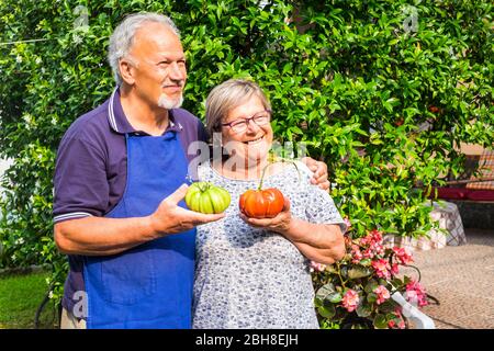 coppia di adulti caucasici senior uomo e donna con grandi pomodori fatti in casa a portata di mano uno verde uno rosso pronto per essere mangiato. Stile di vita sano con verdure prodotte a casa per una vita più economica e piacevole Foto Stock