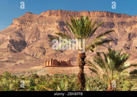 Kasbah Tambougalt, valle di Draa, catena montuosa di Djebek Kissane, Marocco meridionale, Marocco, al-Magreb, Africa Foto Stock