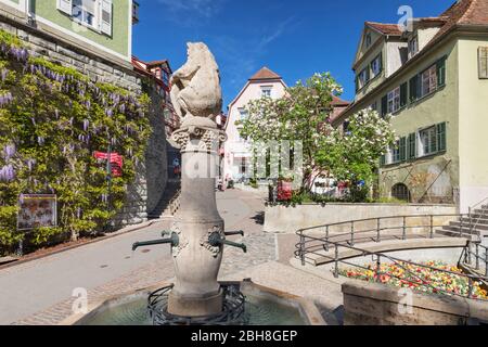 Fontana nella città bassa, Meersburg, Lago di Costanza, Baden-Wurttemberg, Germania Foto Stock