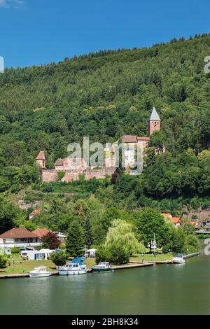 Castello Zwingenberg, valle del Neckar, cerchio di Neckar-Odenwald, Baden-Wurttemberg, Germania Foto Stock