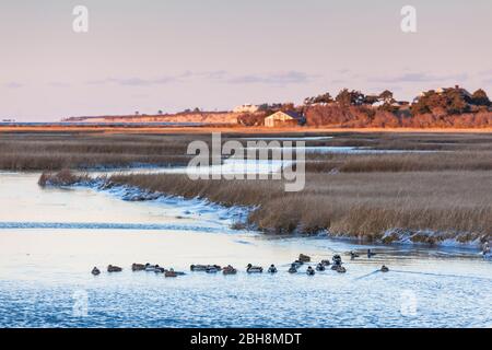 Stati Uniti d'America, New England, Massachusetts, Nantucket Island, Shawkemo, vista al tramonto di Nantucket Harbour Foto Stock