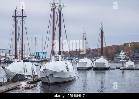 USA, Maine, Camden, Camden Harbour con scooner coperti per l'inverno Foto Stock