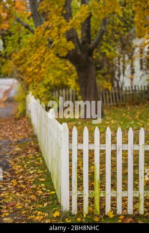 Stati Uniti d'America, Maine, Camden, Picket Fence, autunno Foto Stock