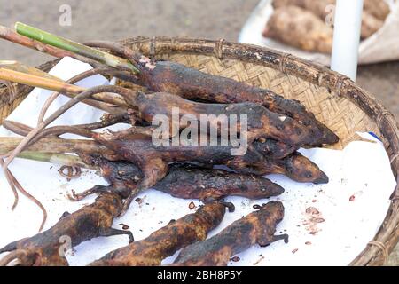 Tomohon, Indonesia - 12 agosto 2017: Ratti cotti venduti al mercato tradizionale di Tomohon, Indonesia Foto Stock