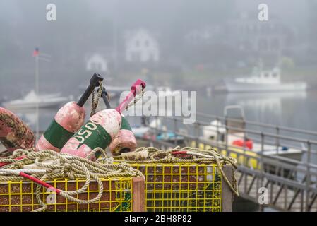 Stati Uniti d'America, New England, Massachusetts, Cape Ann, Gloucester, aragosta boe nella nebbia Foto Stock