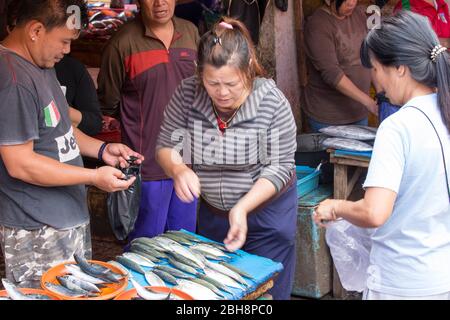 Tomohon, Indonesia - 12 agosto 2017: Persone al mercato del pesce di Tomohon, Indonesia Foto Stock