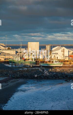 Canada, New Brunswick, Nordest New Bruswick, Caraquet, barche nel porto di pesca, alba Foto Stock