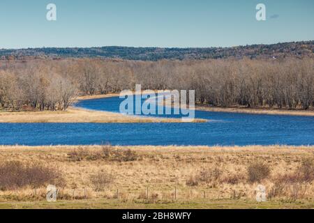Canada, New Brunswick, Saint John River Valley, Gagetown, St John River Foto Stock