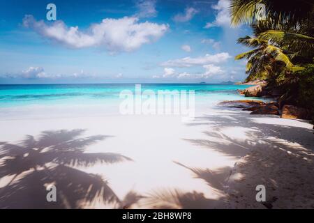 Idilliaco perfetto sogno tropicale sulla spiaggia. Fine sabbia bianca, acque cristalline, estate vacanza alle Seychelles. Foto Stock