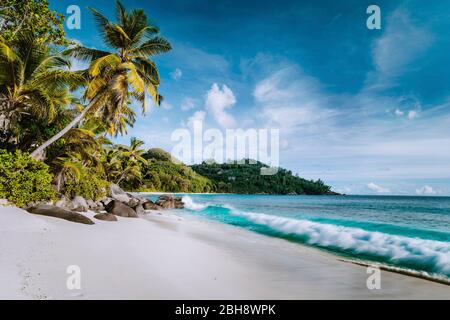 Belle Anse Intendance, spiaggia tropicale. Ocean wave rotolare sulla spiaggia di sabbia con palme di cocco. Mahe, Seychelles. Foto Stock